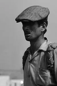 Главный постер фильма «Стамбул (1964)»