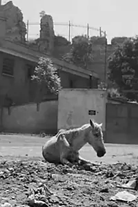 Главный постер фильма «Византия (1964)»