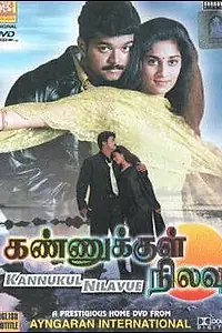 Постер к фильму «Луна в моих глазах (2000)»