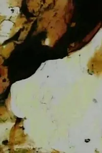 Постер к фильму «Persian Series #6 (2000)»