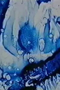 Постер к фильму «Prelude 5 (1996)»