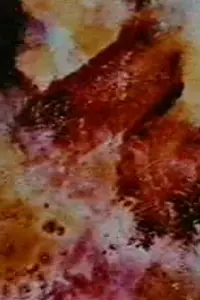 Постер к фильму «Prelude 6 (1996)»