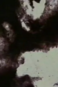 Постер к фильму «Prelude 7 (1996)»