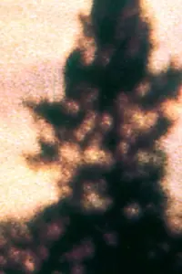 Постер к фильму «@ (1979)»