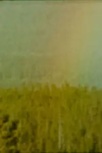 Постер к фильму «Bird (1978)»