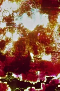 Постер к фильму «Eye Myth Educational (1972)»