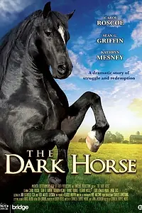 Постер к фильму «The Dark Horse (2008)»
