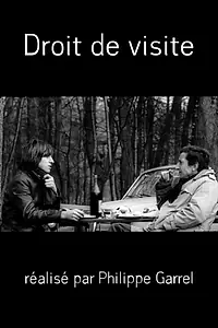 Главный постер фильма «Право посещения (1965)»