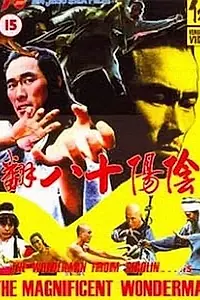 Постер к фильму «Замечательный и удивительный (1980)»