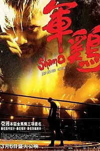 Постер к фильму «Шамо (2007)»