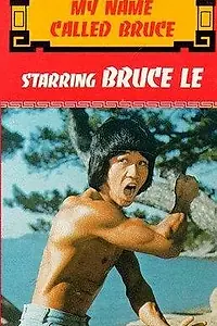 Постер к фильму «Pi li long quan (1978)»