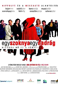 Постер к фильму «Одна юбка, одни брюки (2005)»