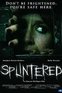 Постер к фильму «Раздвоение (2010)»