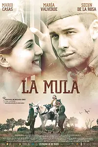 Постер к фильму «Мул (2013)»