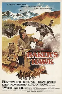 Постер к фильму «Ястреб бейкера (1976)»
