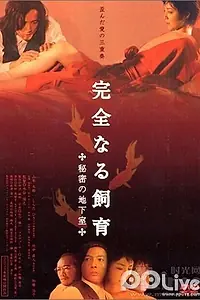 Постер к фильму «Идеальное образование 4: Тайный подвал (2003)»
