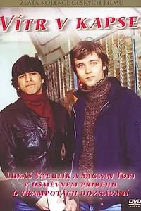 Постер к фильму «Ветер в кармане (1983)»