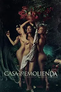 Постер к фильму «Casa de Remolienda (2007)»