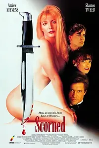 Главный постер фильма «Падшая женщина (1993)»