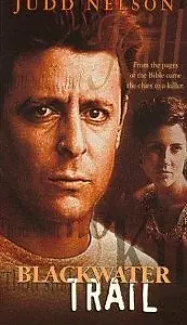 Постер к фильму «Концы в воду (1995)»