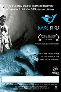Постер к фильму «Rare Bird (2006)»