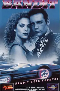 Постер к фильму «Бандит едет в глубинку (1994)»