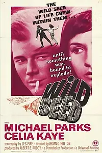 Постер к фильму «Дикое семя (1965)»