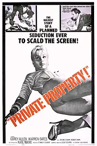 Постер к фильму «Частная собственность (1960)»