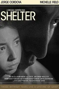 Постер к фильму «Shelter (2007)»
