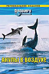 Постер к фильму «Discovery: Акулы в воздухе (2002)»