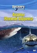Главный постер фильма «Discovery: Акулы Южной Африки (2001)»