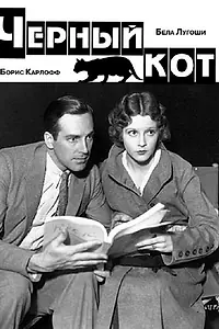 Главный постер фильма «Черный кот (1934)»