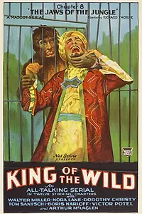 Постер к фильму «Король диких (1931)»