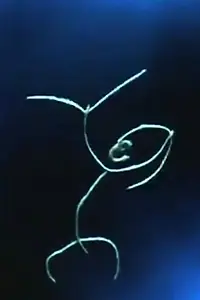 Главный постер мультфильма «Materia (1963)»