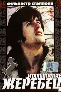 Постер к фильму «Итальянский жеребец (1970)»