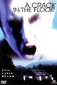 Главный постер фильма «Трещина в полу (2001)»