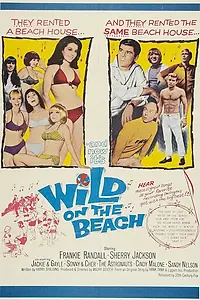 Постер к фильму «Wild on the Beach (1965)»