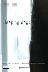 Постер к фильму «Sleeping Dogs (2006)»