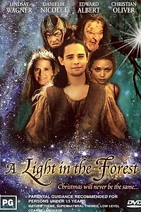 Главный постер фильма «Свет в лесу (2003)»