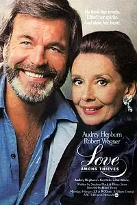 Главный постер фильма «Любовь среди воров (1987)»
