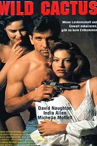 Главный постер фильма «Дикий кактус (1993)»