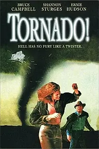 Постер к фильму «Торнадо (1996)»