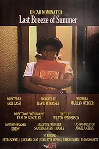 Главный постер фильма «Последнее дыхание лета (1991)»