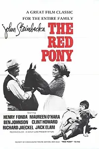 Главный постер фильма «Рыжий пони (1973)»