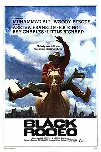 Главный постер фильма «Черное родео (1972)»