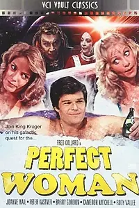 Главный постер фильма «Идеальная женщина (1981)»