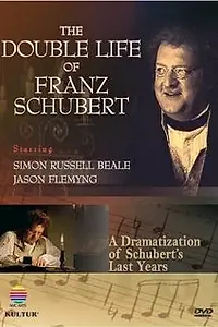 Постер к фильму «The Temptation of Franz Schubert (1997)»