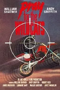 Постер к фильму «Молитесь за Диких кошек (1974)»