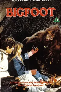 Главный постер фильма «Снежный человек (1987)»