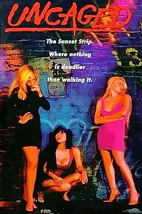 Главный постер фильма «Ангел в красном (1991)»